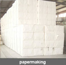 Sodium Hydroxide (Caustic Soda)