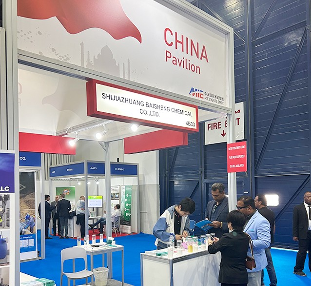 Shijiazhuang Baisheng Chemical Co., Ltd.