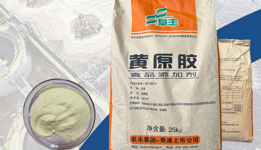 Xanthan Gum